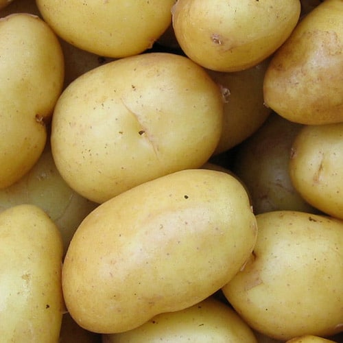 resultado del crecimiento del cultivo de la patata