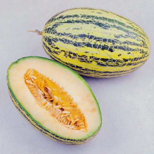 maduracion crecimiento del melon