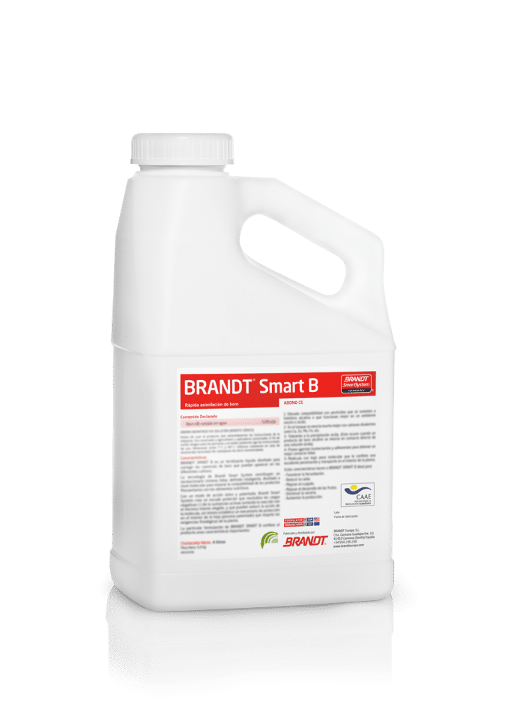 BRANDT Smart B | Plus Nutricional De Boro | BRANDT Europe